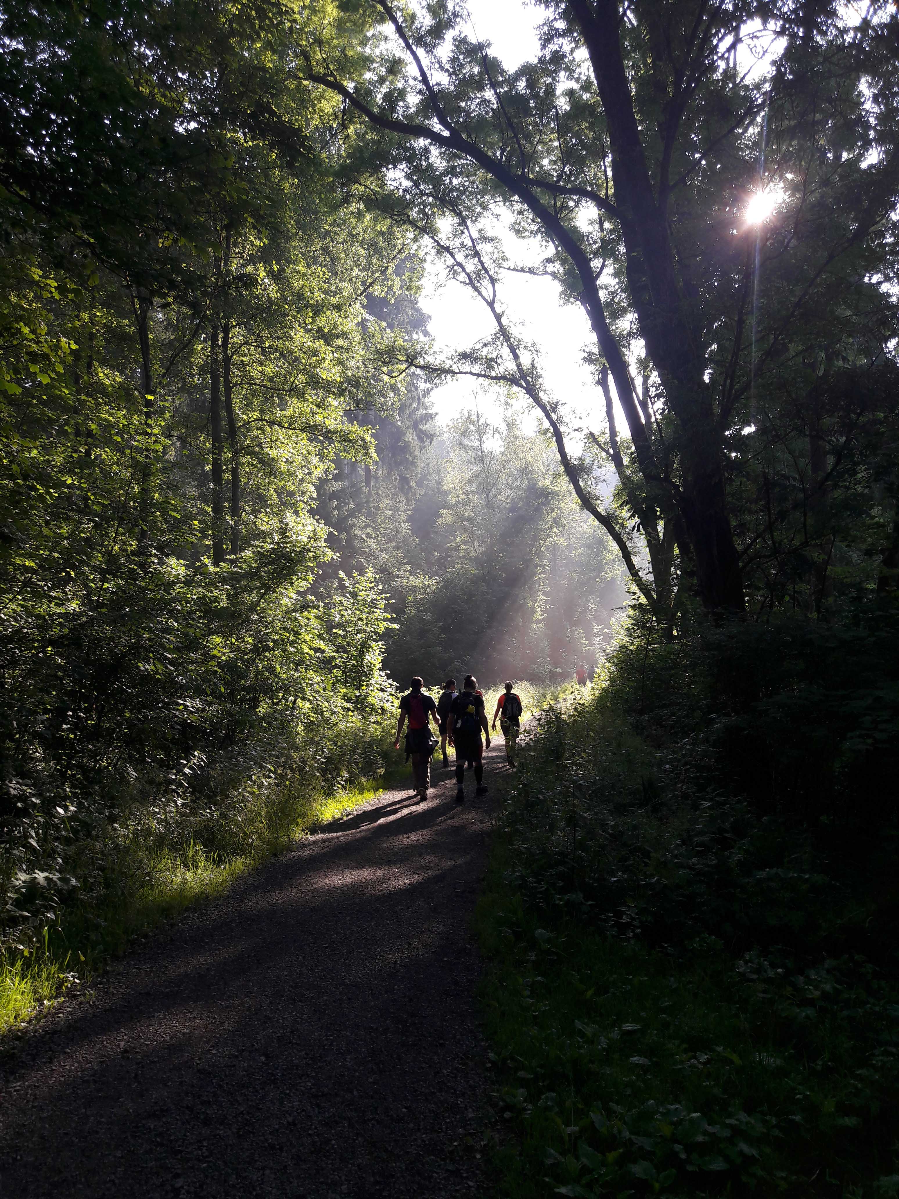 Schattige Wanderwege zu Beginn der Bergischen 50